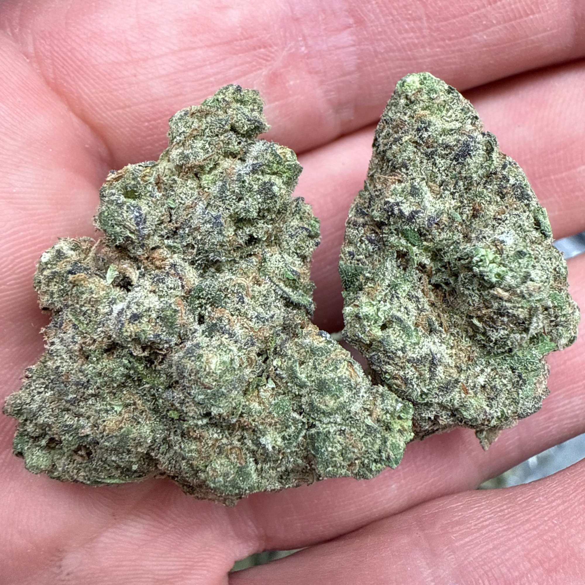 Bubba Kush THCA Flower