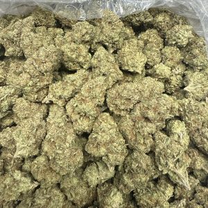 Gelato Punch THCa Flower