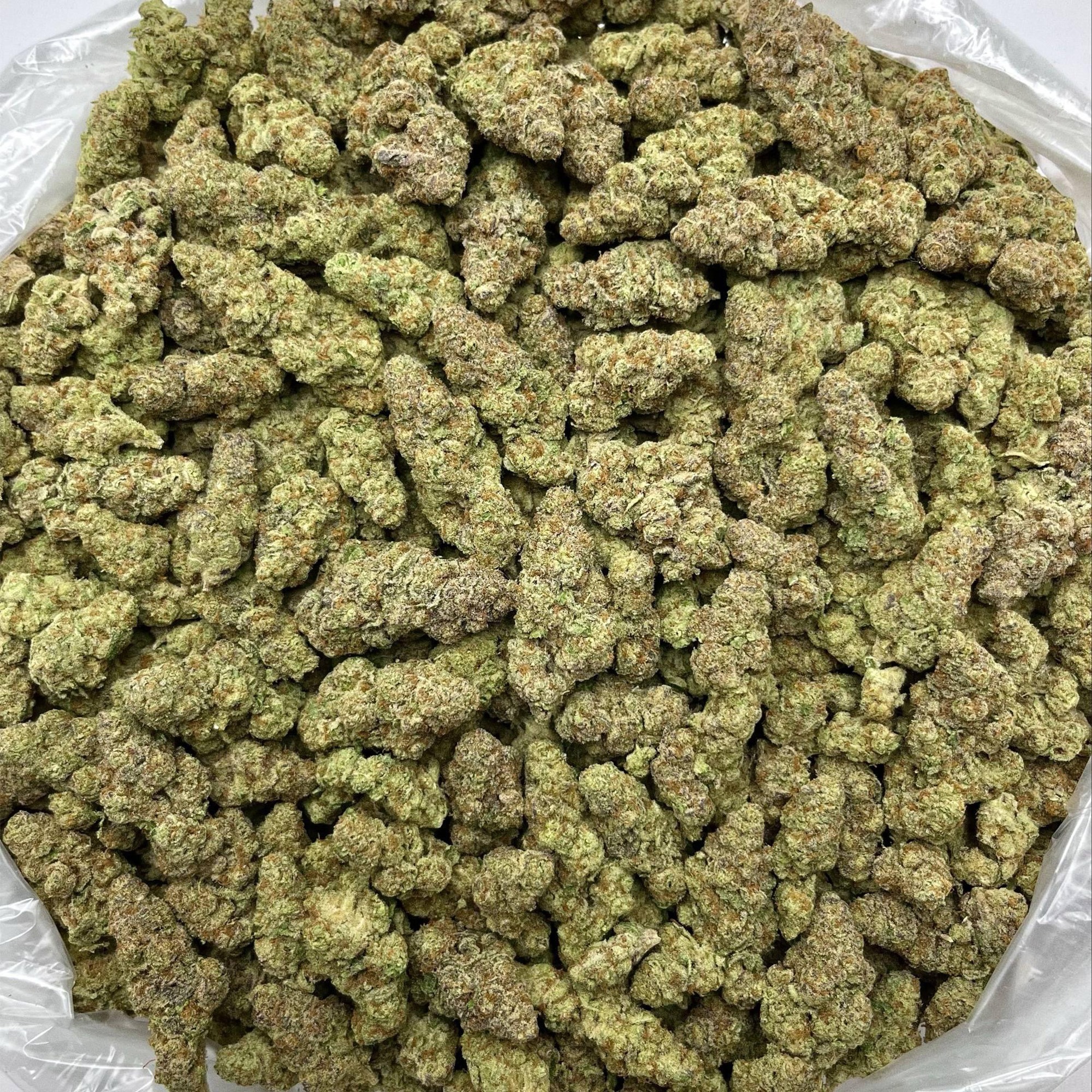 Glitter Bomb THCA Flower