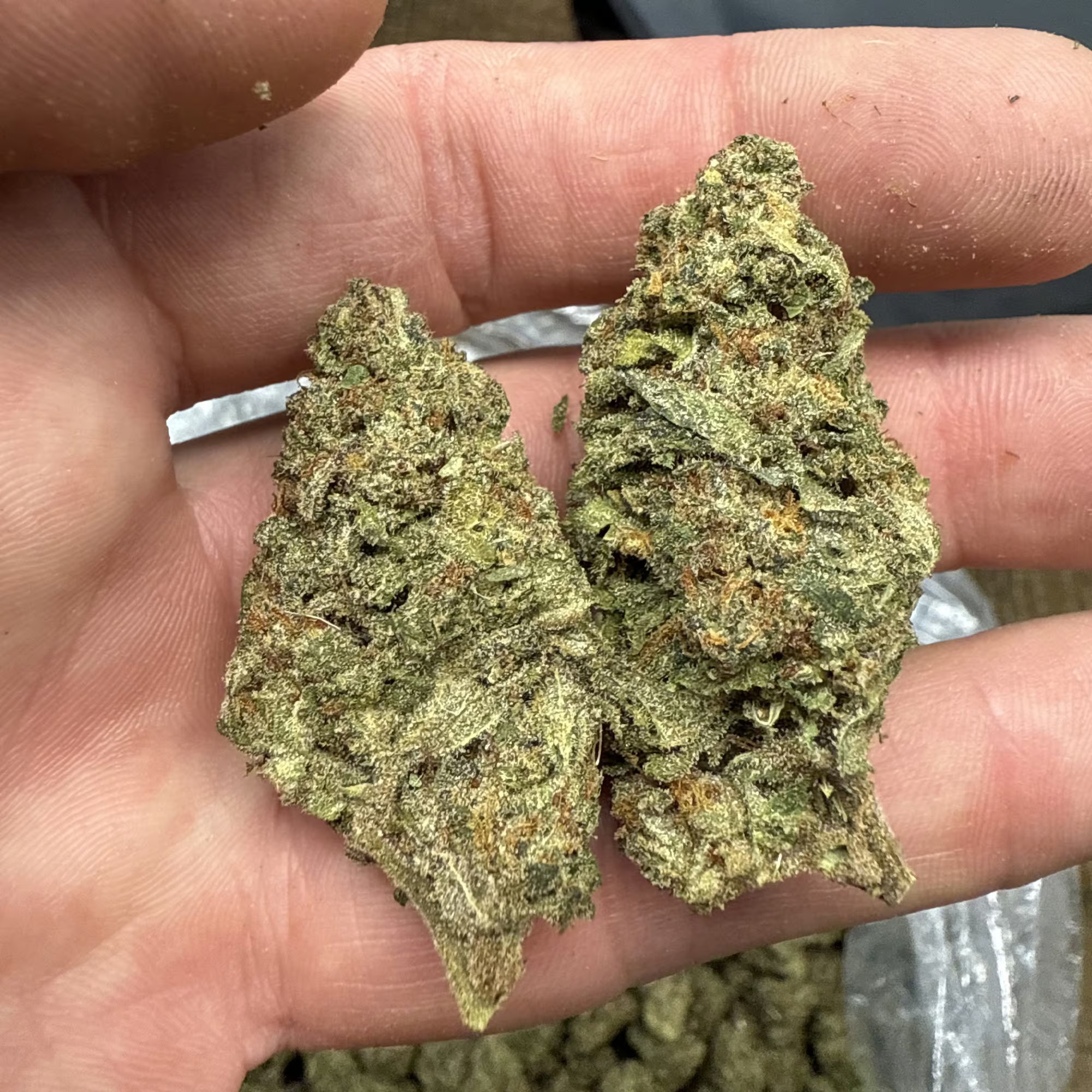 Grape Ape THCA Flower Pounds