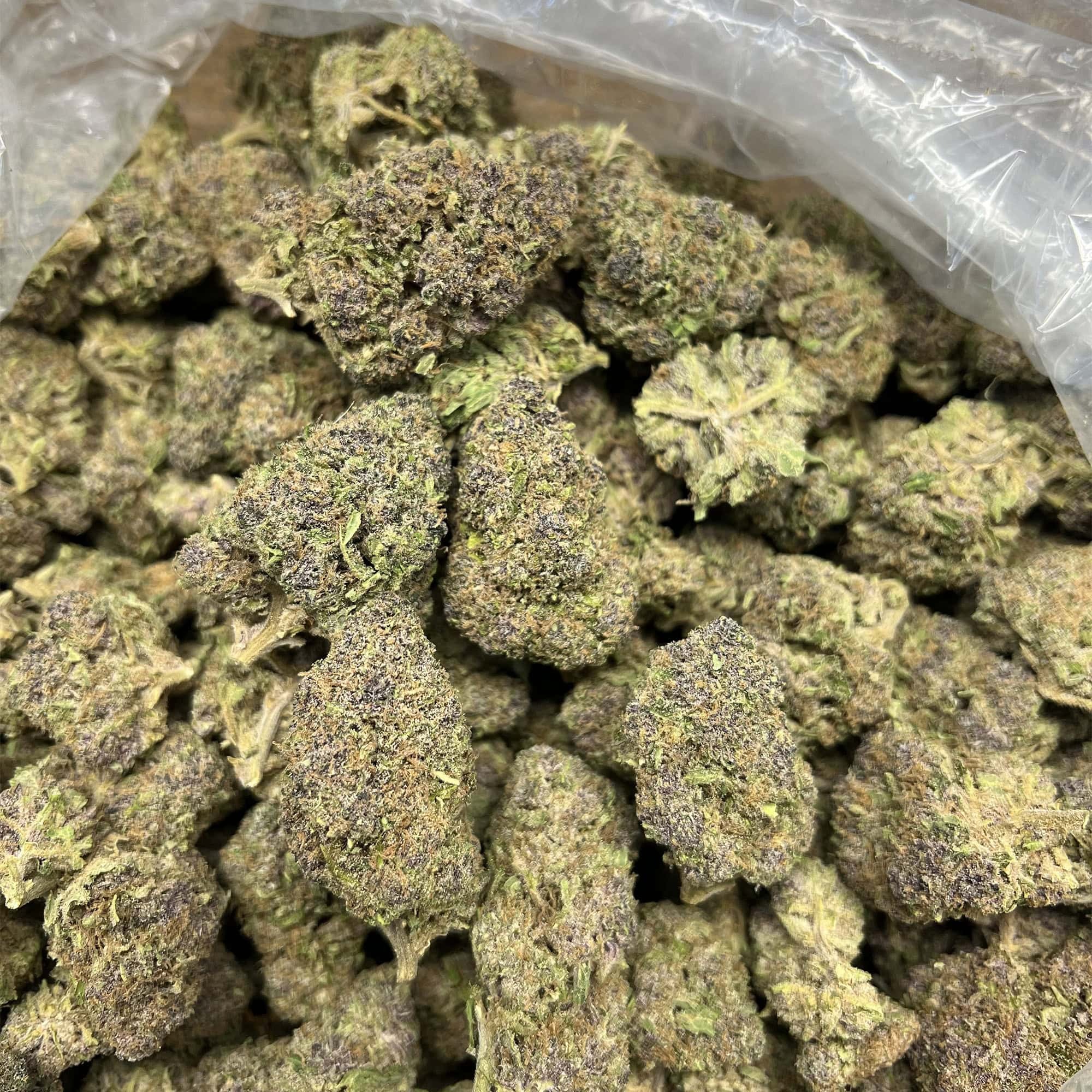 Groovy Grape THCA Flower