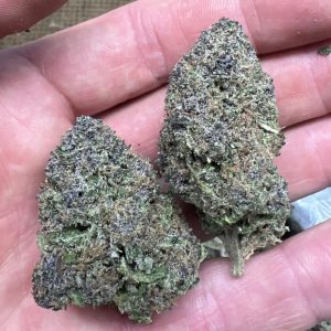 Groovy Grape THCA Flower