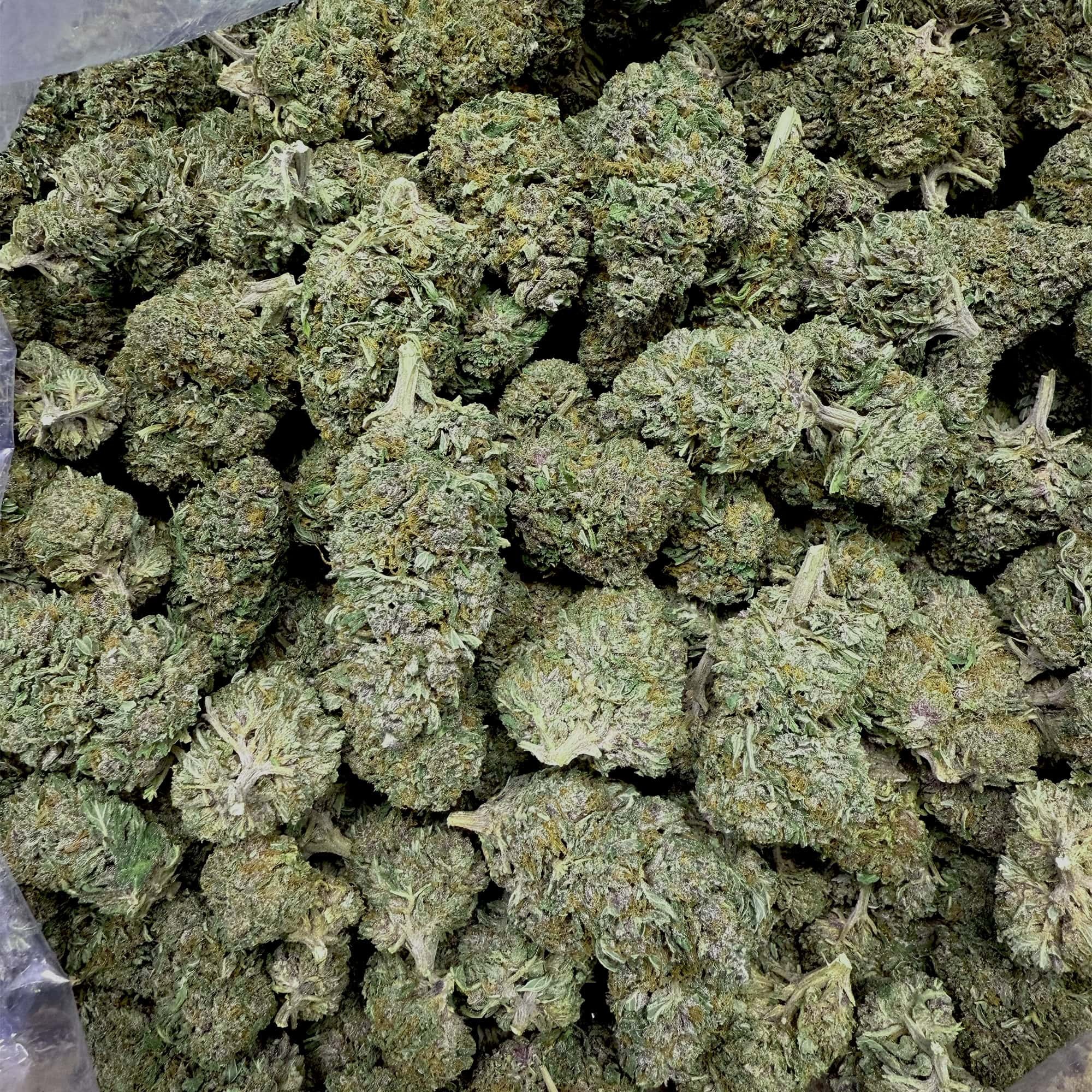 Jager Kush THCA flower