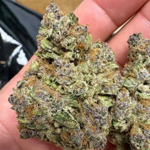 Modified Grapes THCa Flower Pounds