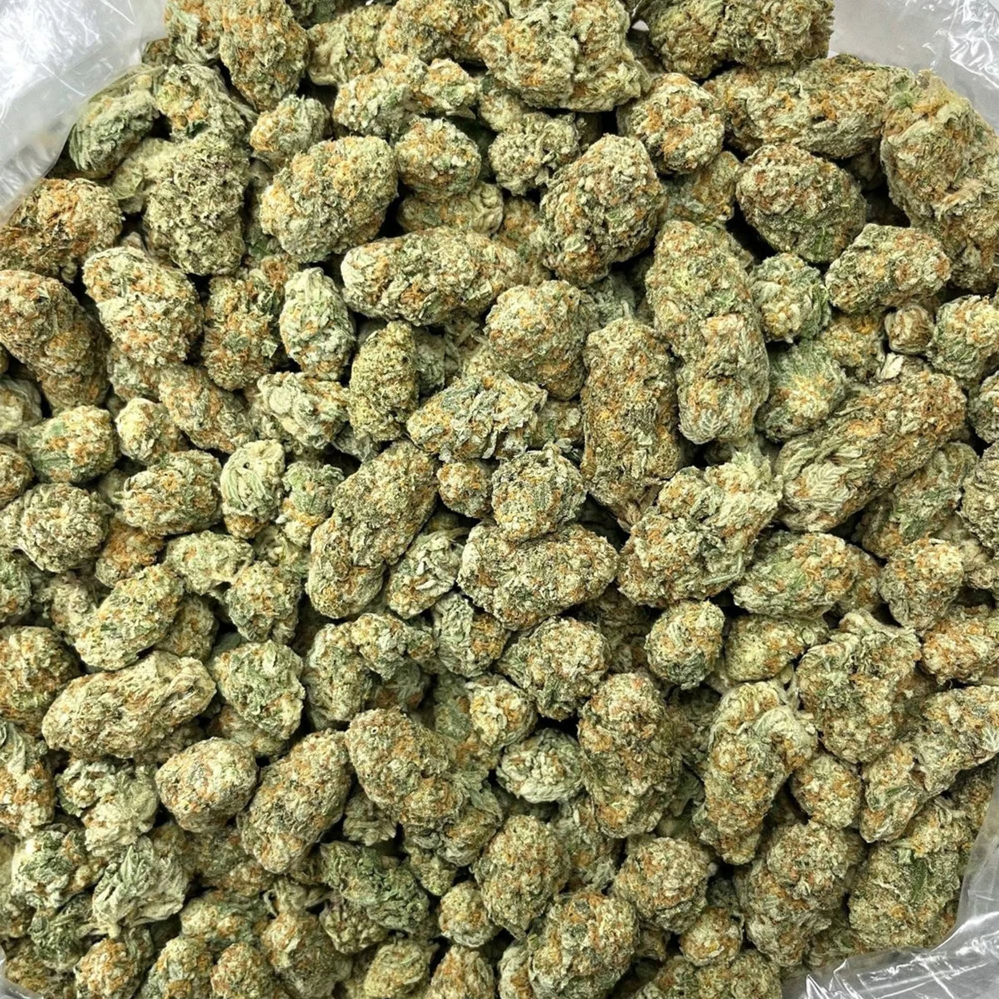 Purple Punch THCA Flower